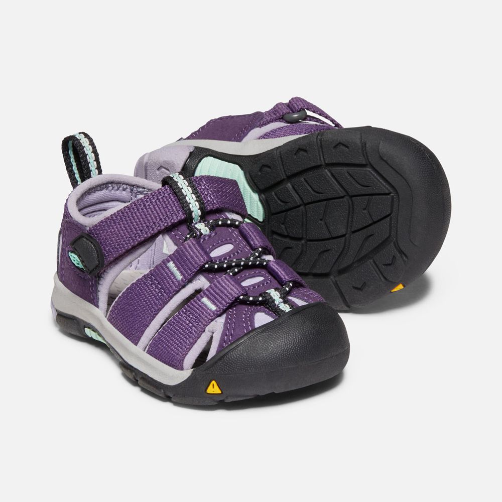 Sandales Keen Enfant Violette | Newport H2 | CXIFO-0173